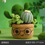 WAWAJI Crochet Kit | Crochet Kit for Beginners | Beginner Crochet Kit with Step by Step Video Lessons | Potted Plants and Succulent Family Crochet Kit with Crochet Accessories