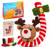 Christmas Snowman Crochet Kit for Beginners, Crochet Starters Kit Adult, Complete Little Snowman Craft Knitting Kit with Crochet Hooks Yarns Step-by-Step Video Tutorials